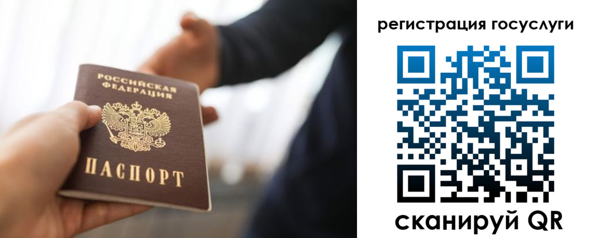 временная регистрация поиск в Читинской области